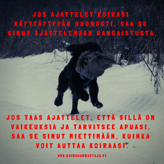 Häiriö!