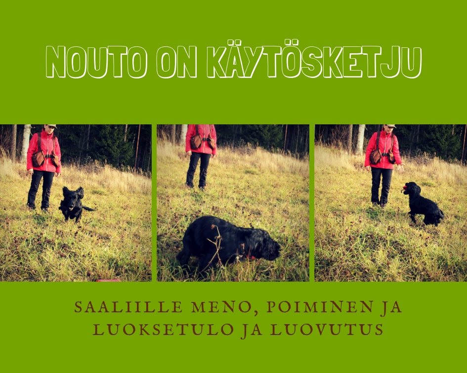 Noutamisesta osa1: Nouto on käytösketju