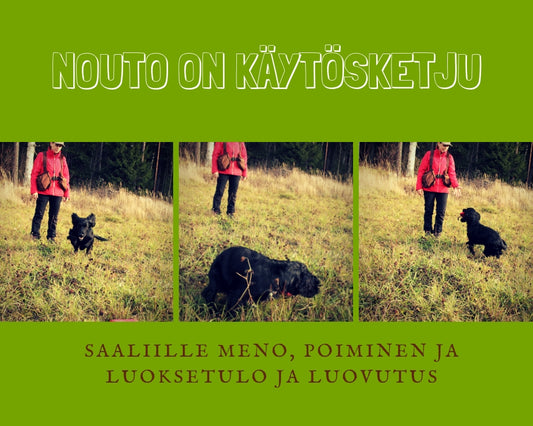 Noutamisesta osa1: Nouto on käytösketju