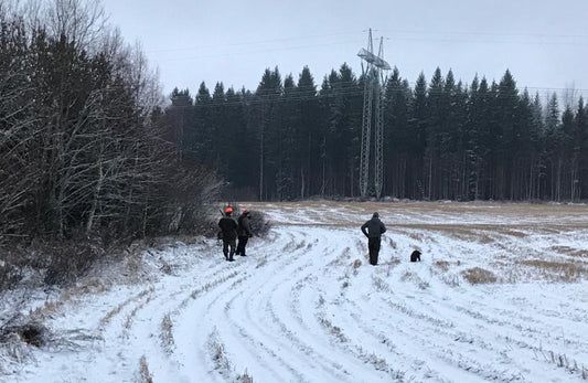 Usein kysyttyä spanieleiden metsästyskokeesta