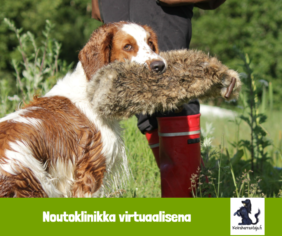 Noutoklinikka virtuellt