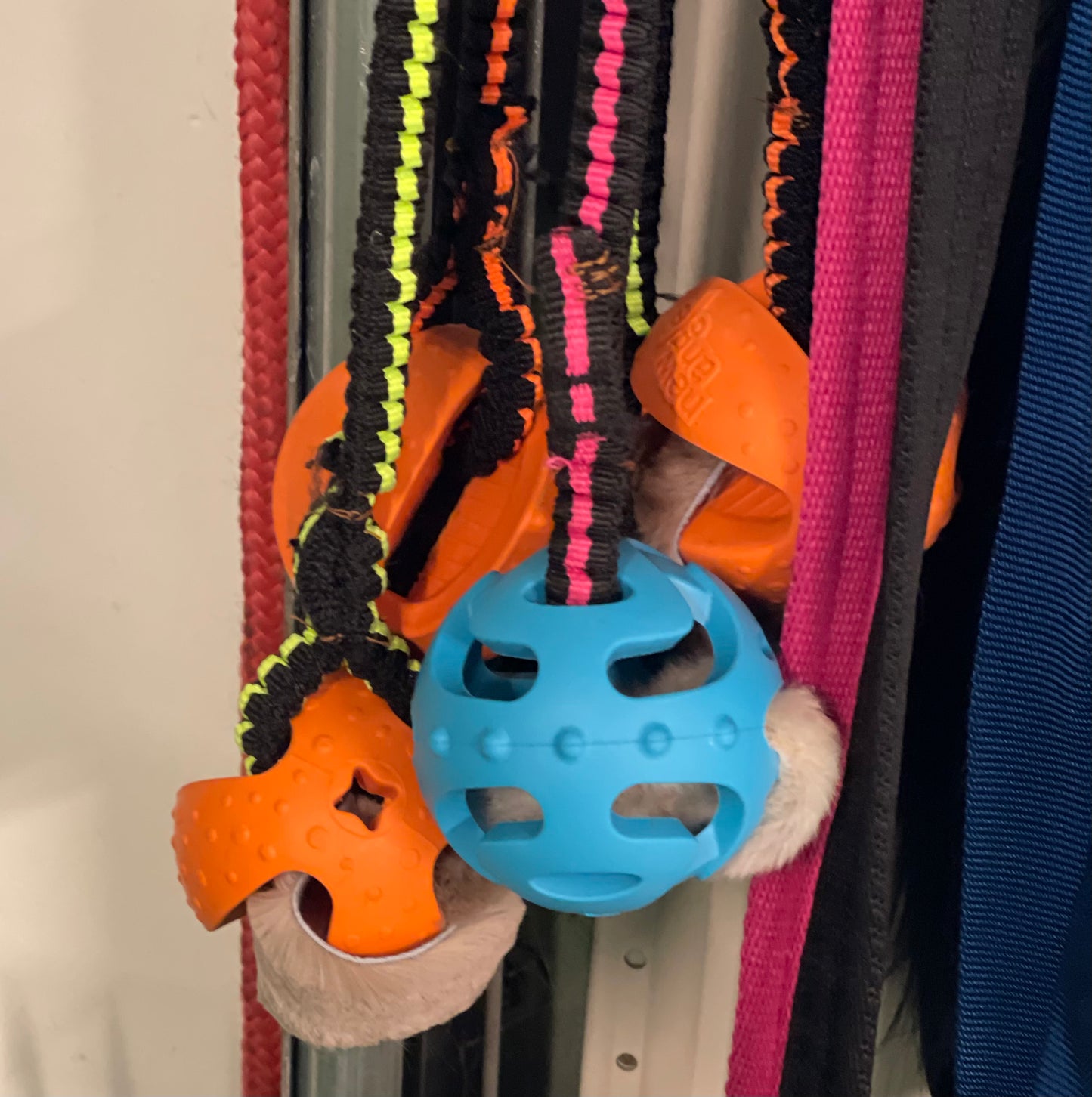 Vetoleksak med boll och kaninpäls