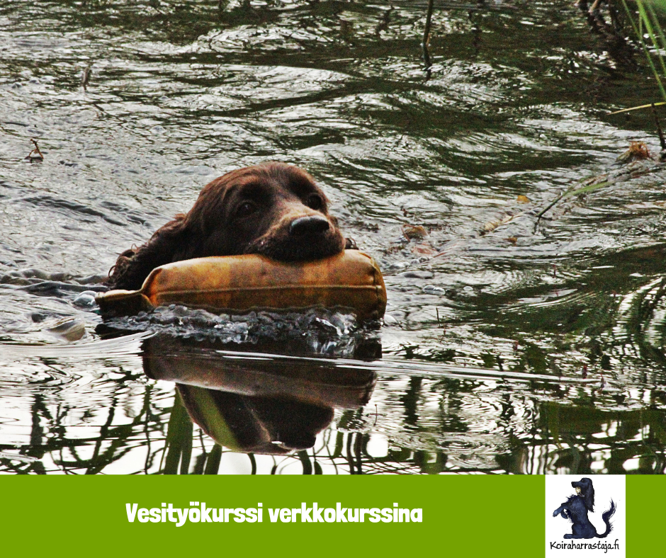 Vesityökurssi verkkokurssina