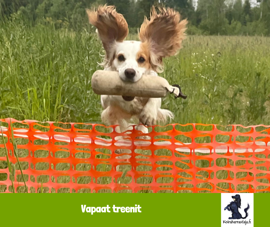 Gratis träning