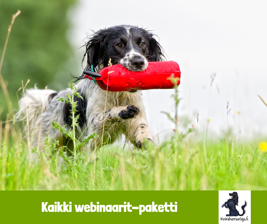 Kaikkien webinaarien tallenteet-paketti