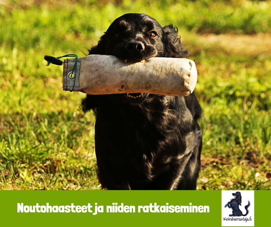 Webinar: Hämtningsutmaningar och deras lösning