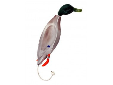 Dokkens Mallard mini