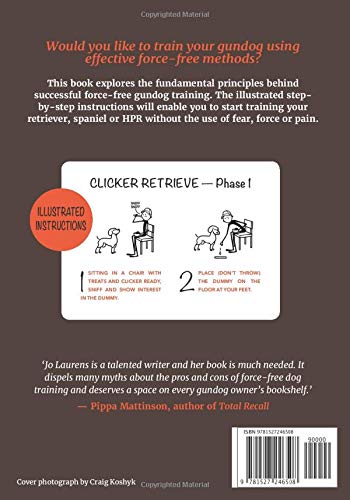 Jo Laurens: Kraftfri Träning av Stövare