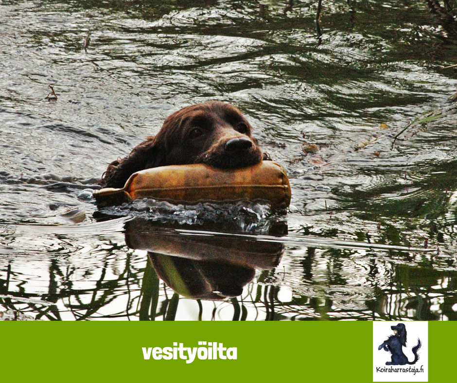 Vesityöilta Hyvinkäällä 24.6.2026