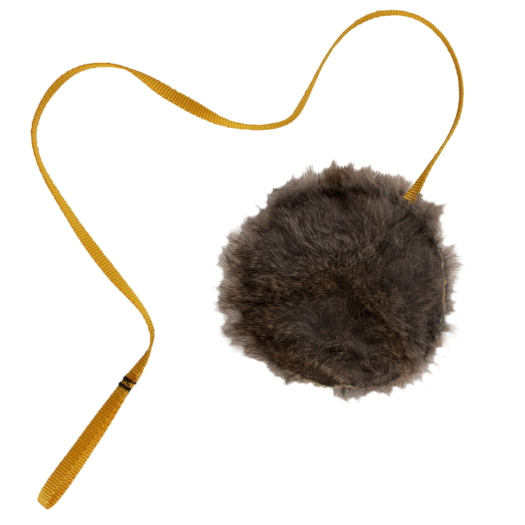 Wicked Squeaky Rabbit Chaser