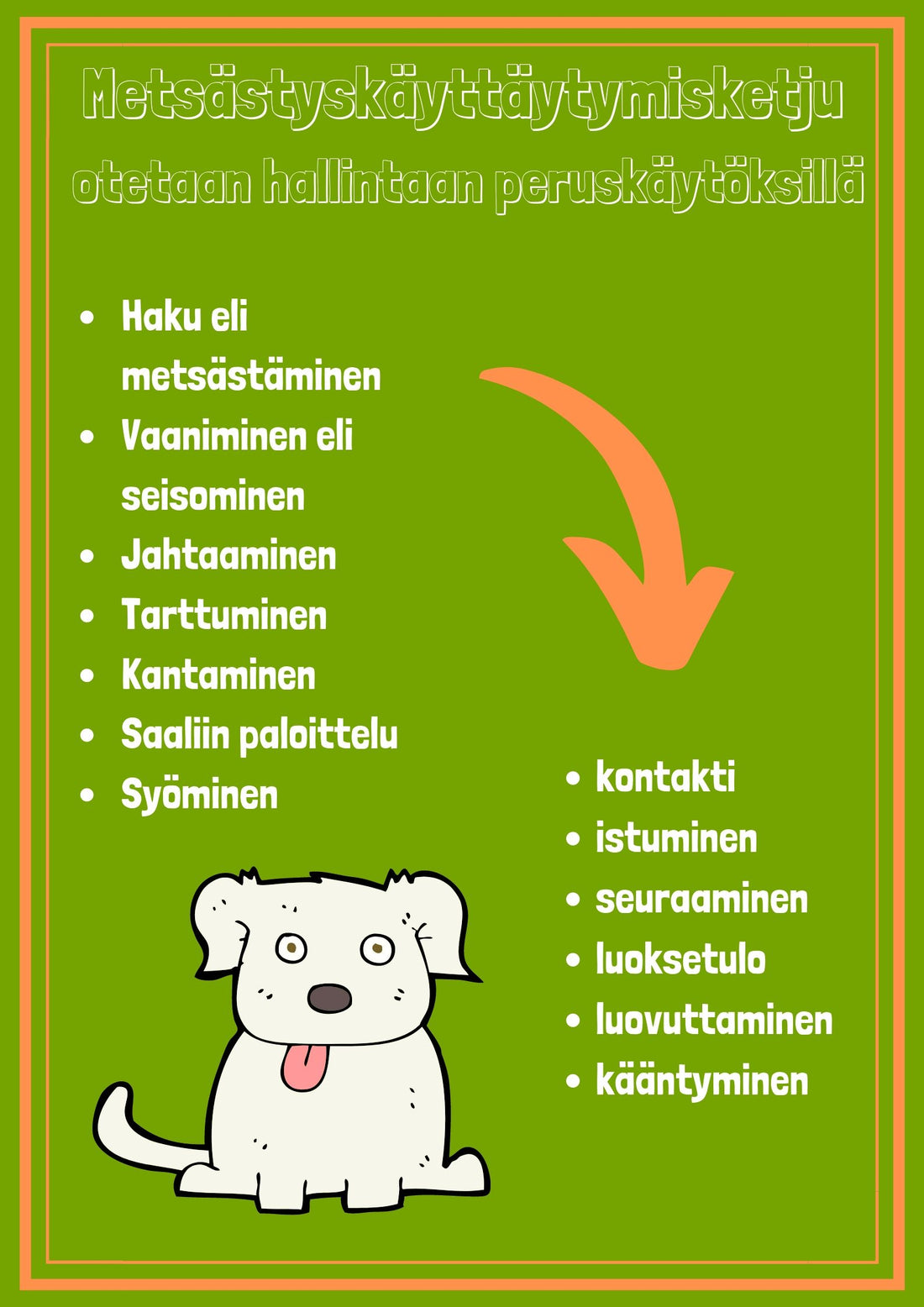 Lintukoiran peruskäytökset