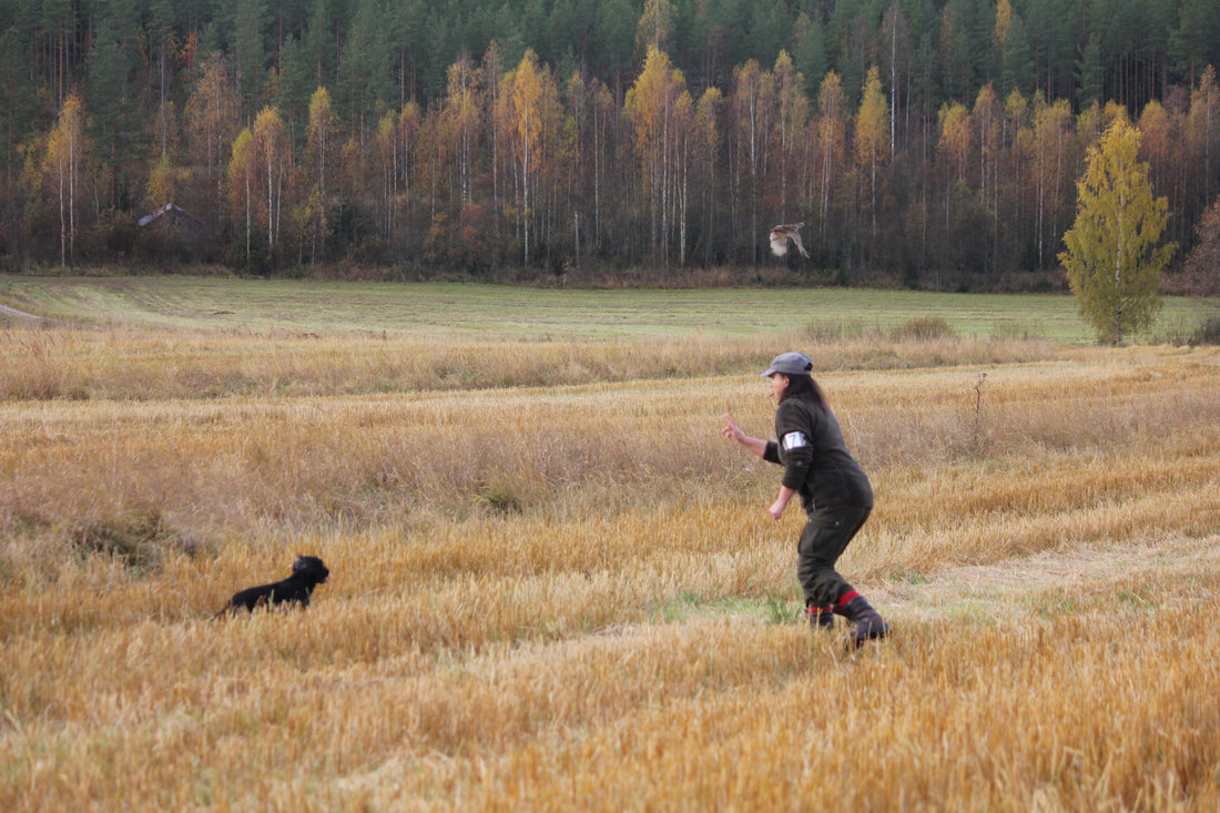 Pysähtyminen