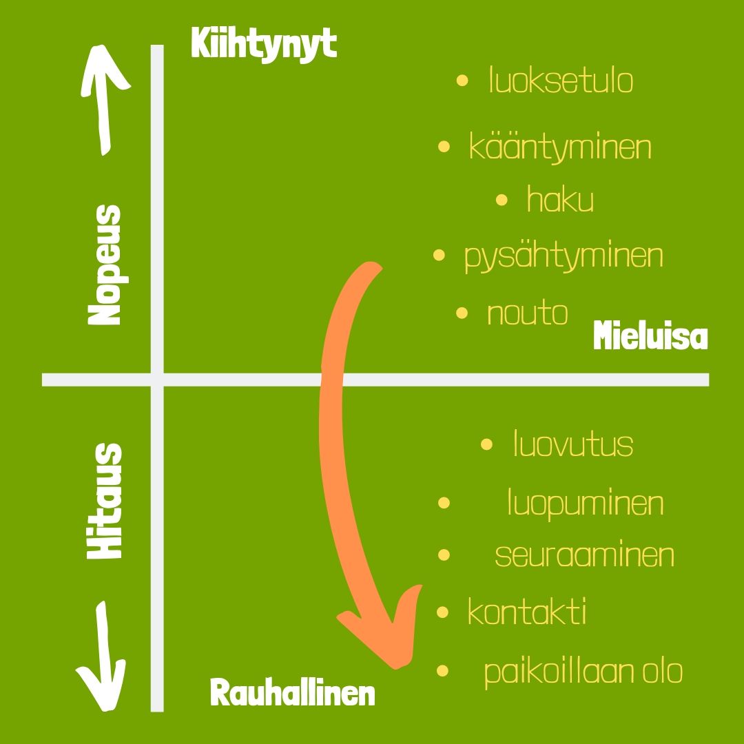 Tunnetilan merkitys kouluttamisessa
