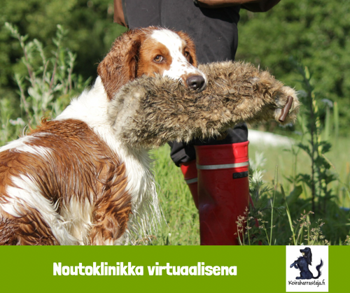 Noutoklinikka virtuaalisena 23.10.2023
