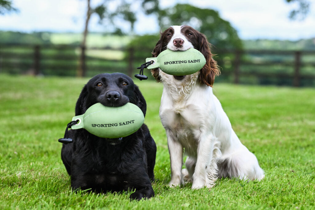 Sporting Saint Retrieve Dummy