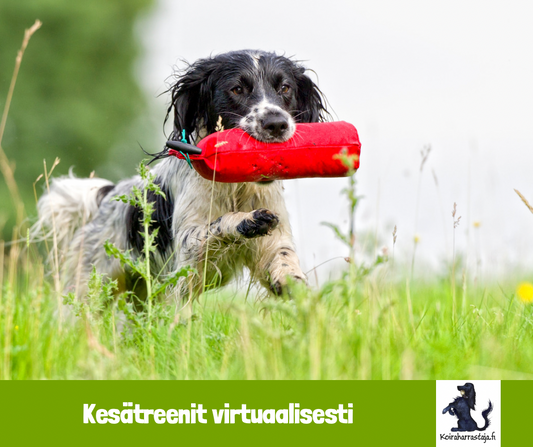 kesäreeni virtuaalisesti 2.6.20525