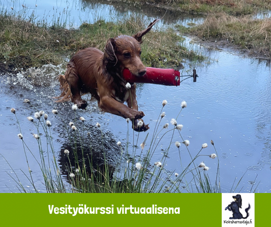Vesityökurssi virtuaalisena 2.6.2025