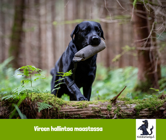 Vireenhallintaa maastossa Mariannen kanssa