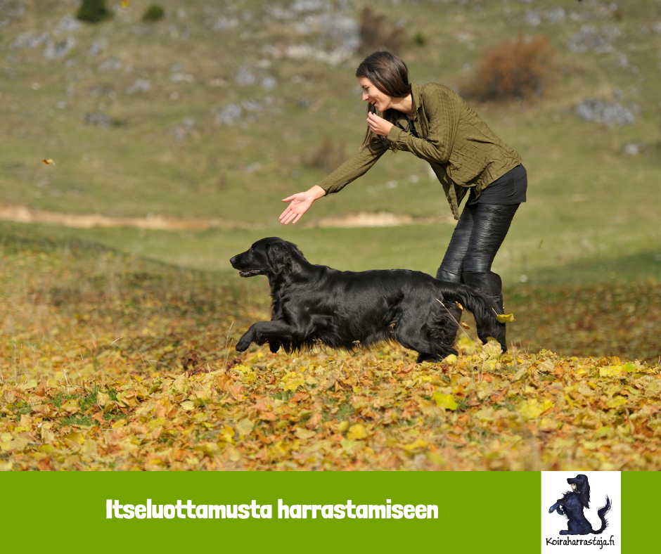 Itsetuntoa harrastamiseen