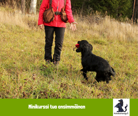 Minikurssi tuo ensimmäinen