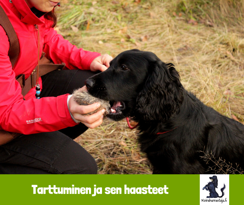 Tarttuminen ja sen haasteet