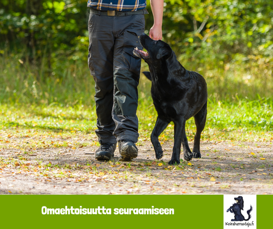 Seuraamiseen omaehtoisuutta-workshopit