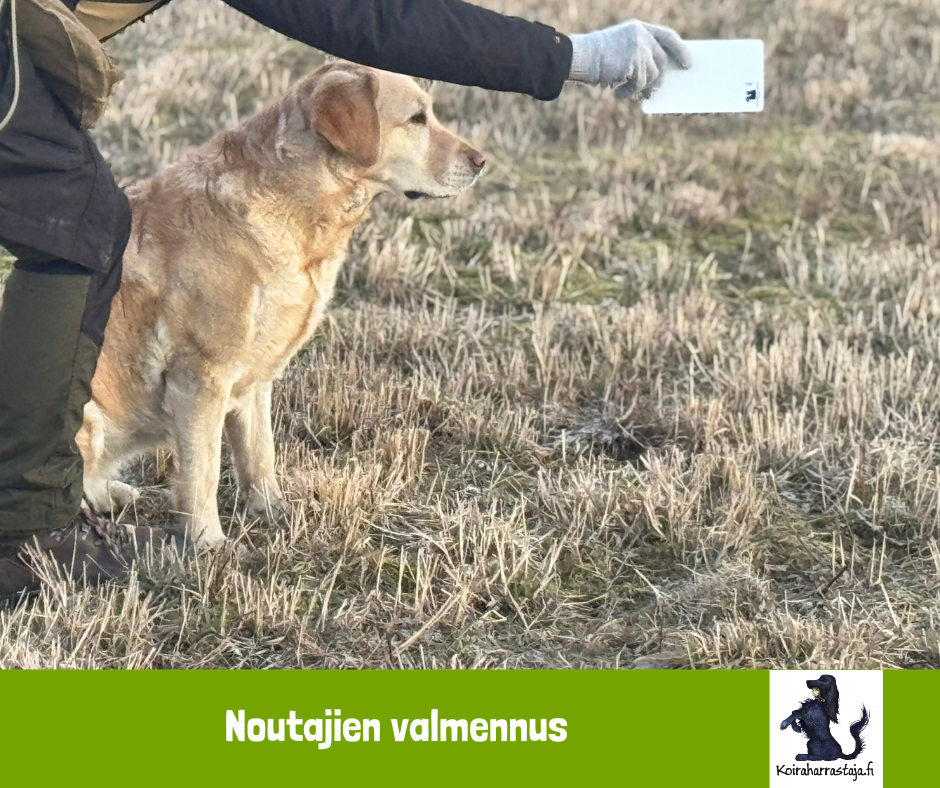 Noutajien valmennus