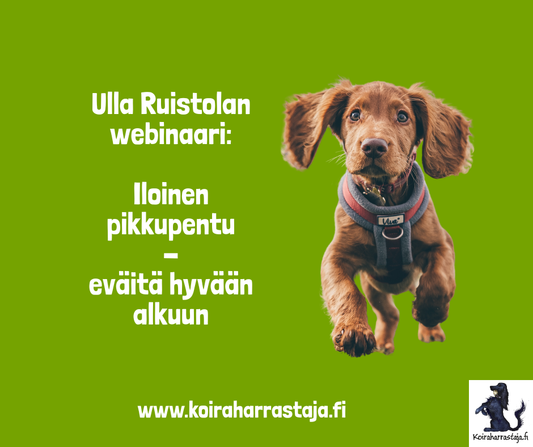 Iloinen pikkupentu - eväitä hyvään alkuun