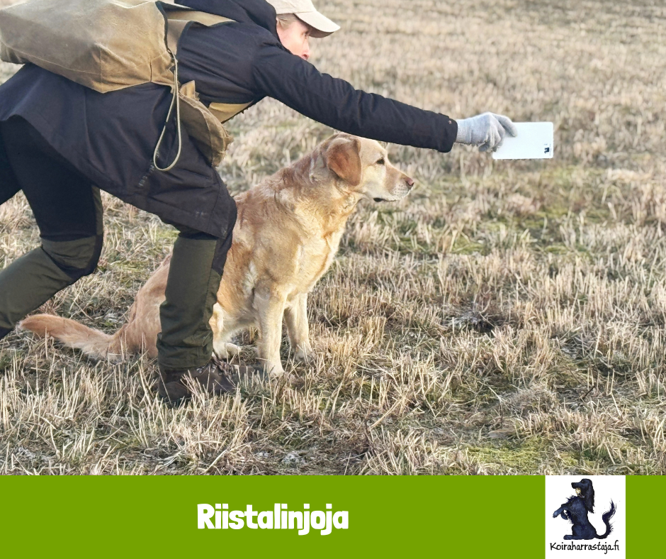 Riistalinjoja