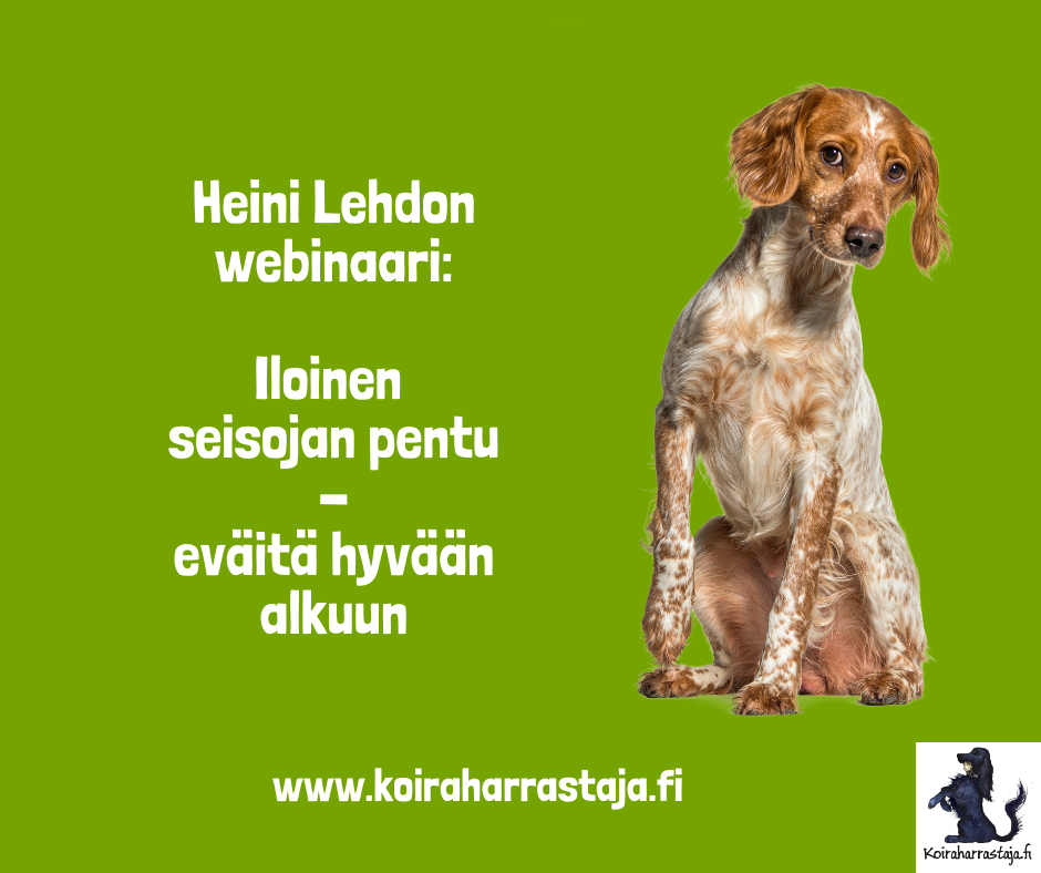 Iloinen seisojanpentu - eväitä hyvään alkuun