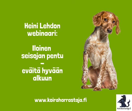 Iloinen seisojanpentu - eväitä hyvään alkuun