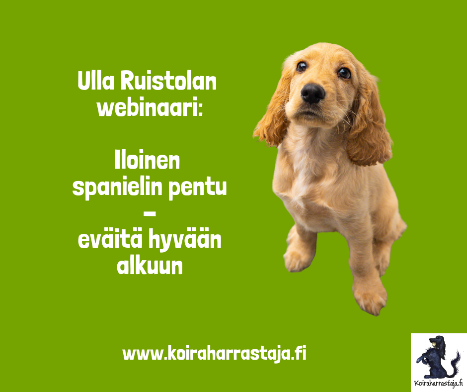 Iloinen spanielin pentu - eväitä hyvään alkuun