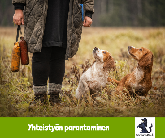 Yhteistyön parantaminen