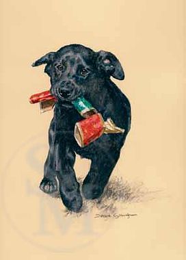 Christmas Cracker