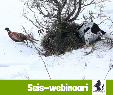 Seis-webinaari