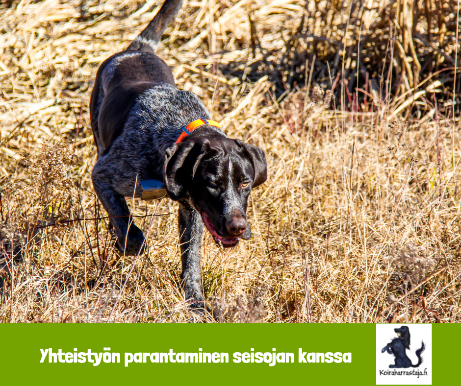 Yhteistyön parantaminen seisojan kanssa