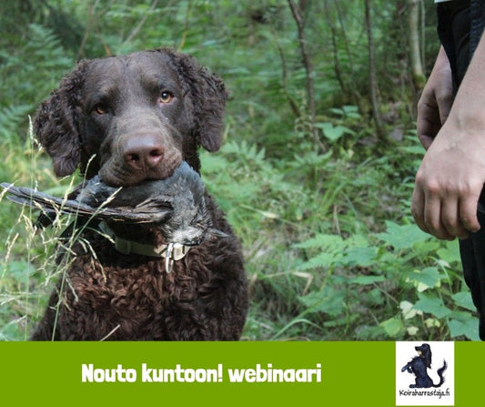 Upphämtningsvillkor! webinar