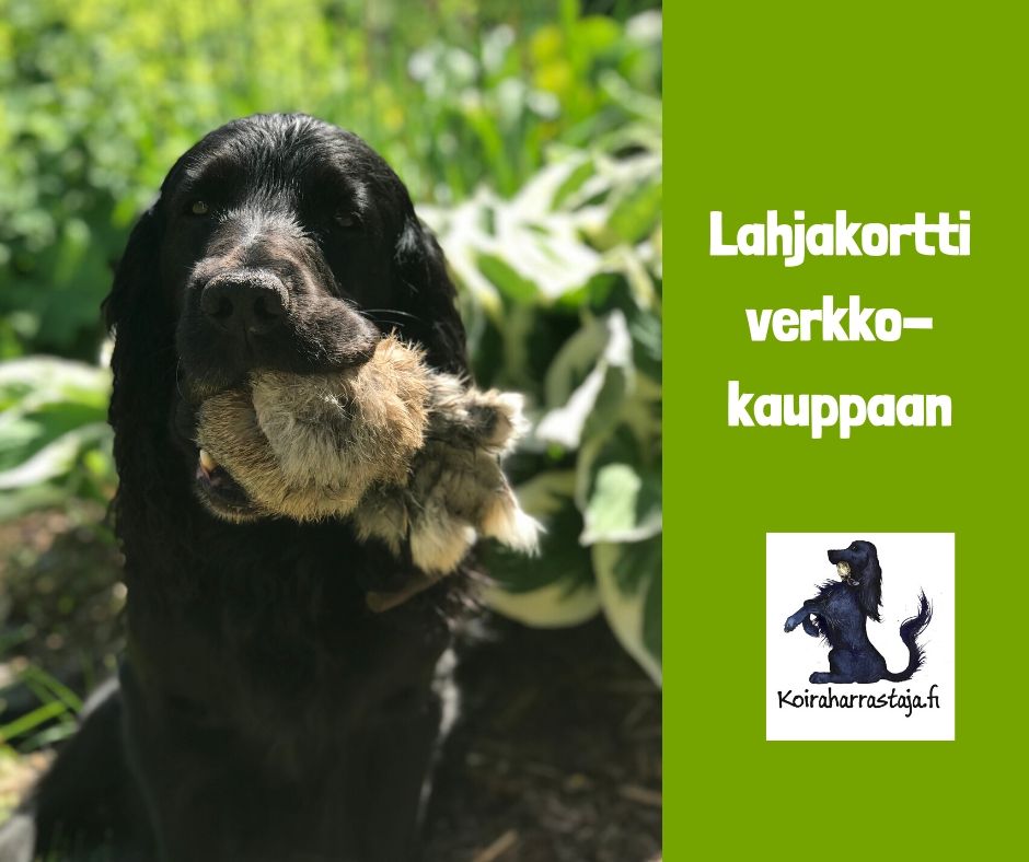 Lahjakortti