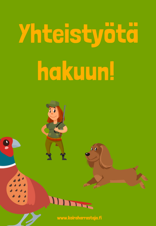 Yhteistyötä hakuun! pdf