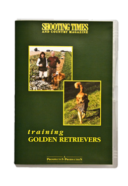 Golden Retreiver Training