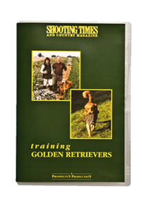 Golden Retreiver-utbildning