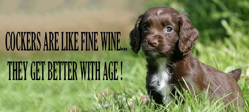 Fine Wine-mukit