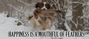 Happiness is-mukit
