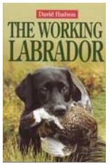 David Hudson: The Working Labrador