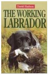 David Hudson: The Working Labrador