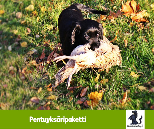 Pentuyksäripaketti