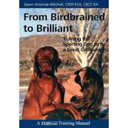 From Birdbrained to Brilliant