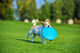 PitchDog Flying Disk