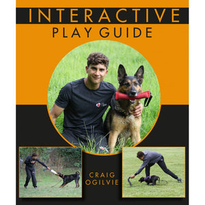 Graig Ogilvie: Interactive Play Guide