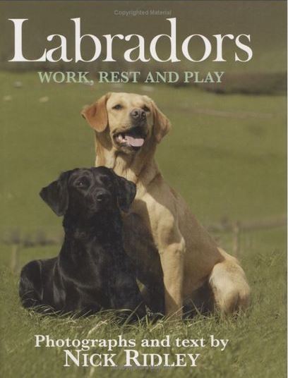 Nick Ridley: Ladradors